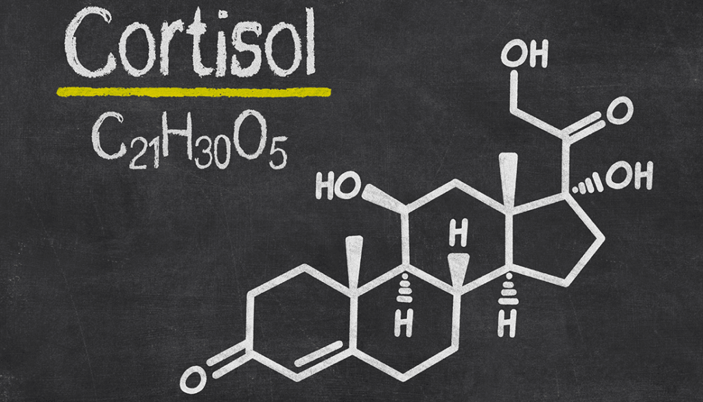 Cortisol